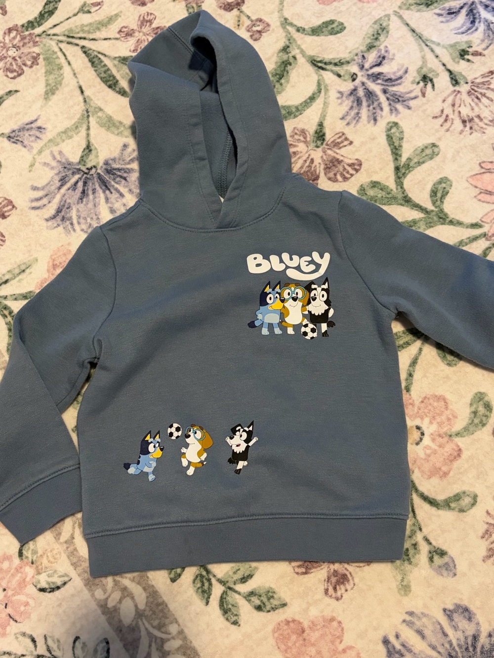 Old Navy Bluey Graphic Hooded Sweatshirt - Slate Blue